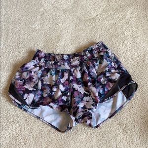Hotty Hot Short 2.5"